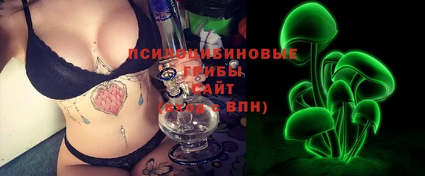 гашик Алексеевка
