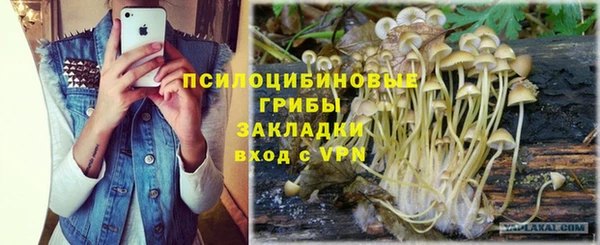 гашик Алексеевка