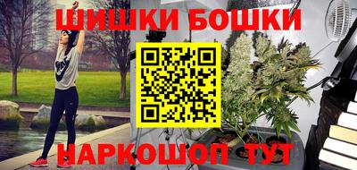 стафф Камышлов