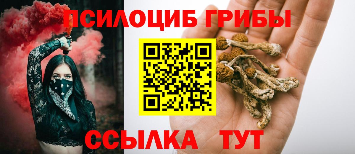 Псилоцибиновые грибы мицелий  Псилоцибиновые грибы MAGIC MUSHROOMS  Менделеевск  Вход с VPN 