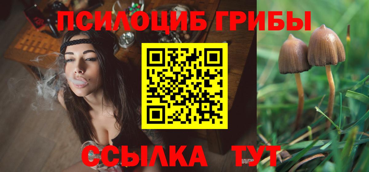 Псилоцибиновые грибы ЛСД Менделеевск